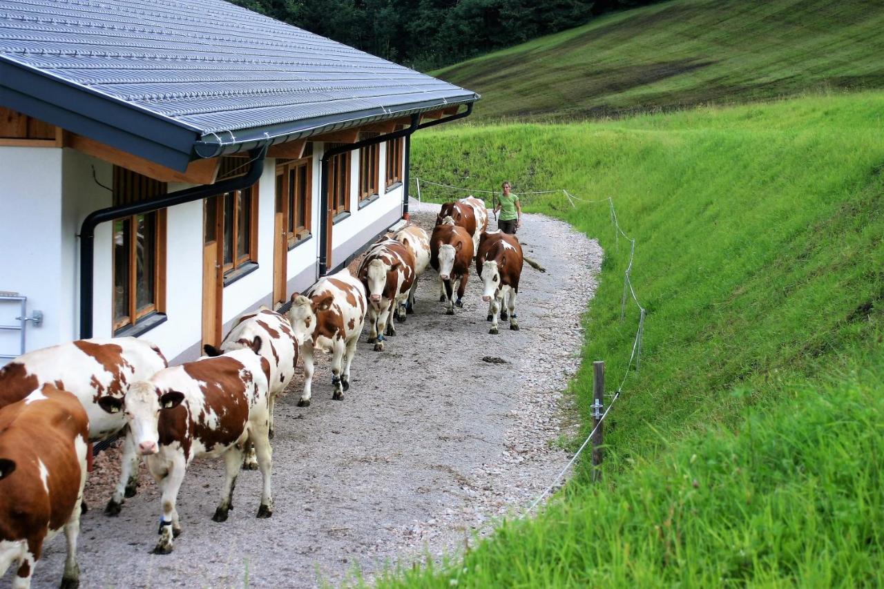 Schartlhof Villa Flachau Exterior foto