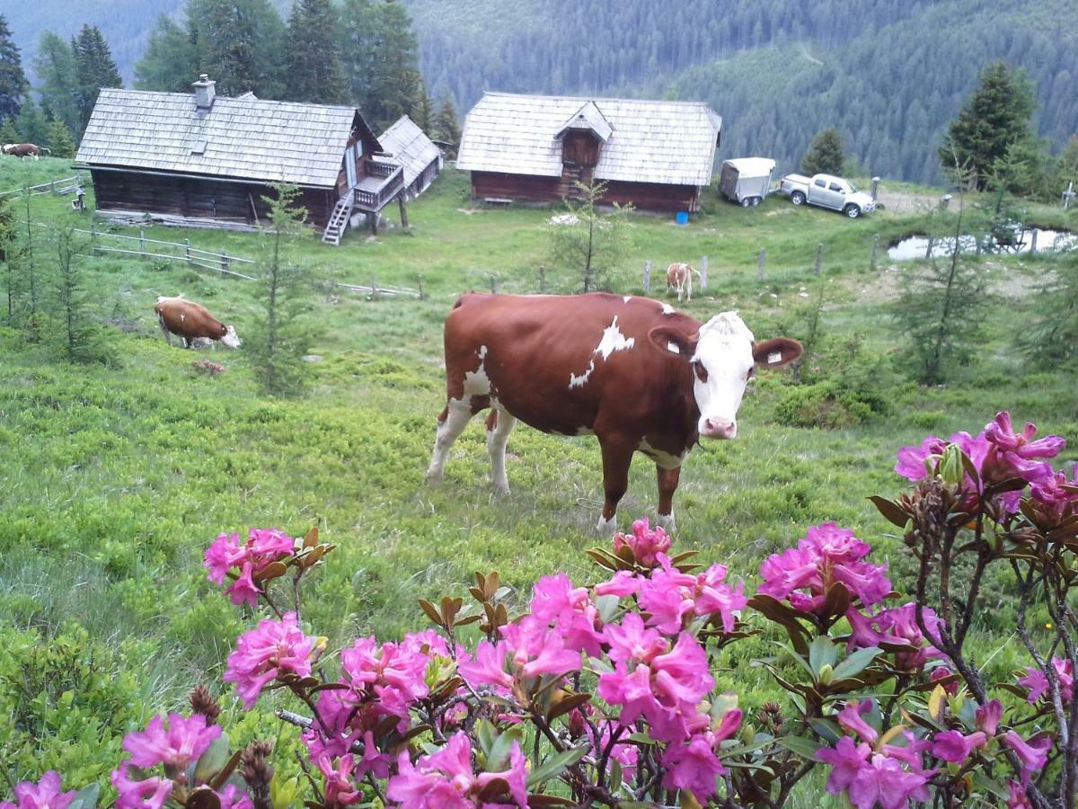 Schartlhof Villa Flachau Exterior foto
